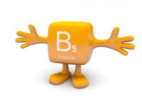 Vitamina B5 (ácido pantenol, pantoténico)